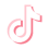 Tiktok Mini Logo