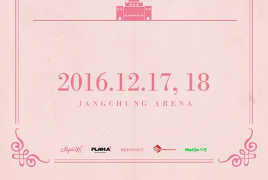 Apink LIVE DVD Pink Paradise 未開封 Apink LIVE DVD Pink Paradise 新品未開封