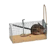 Мышелов2.webp (22 КБ) Мышеловка на живую