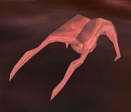 Детеныш хедкраба