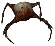 58473600.jpg (58 КБ) Быстрый хедкраб