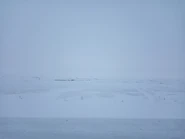 Заснеженная тундра