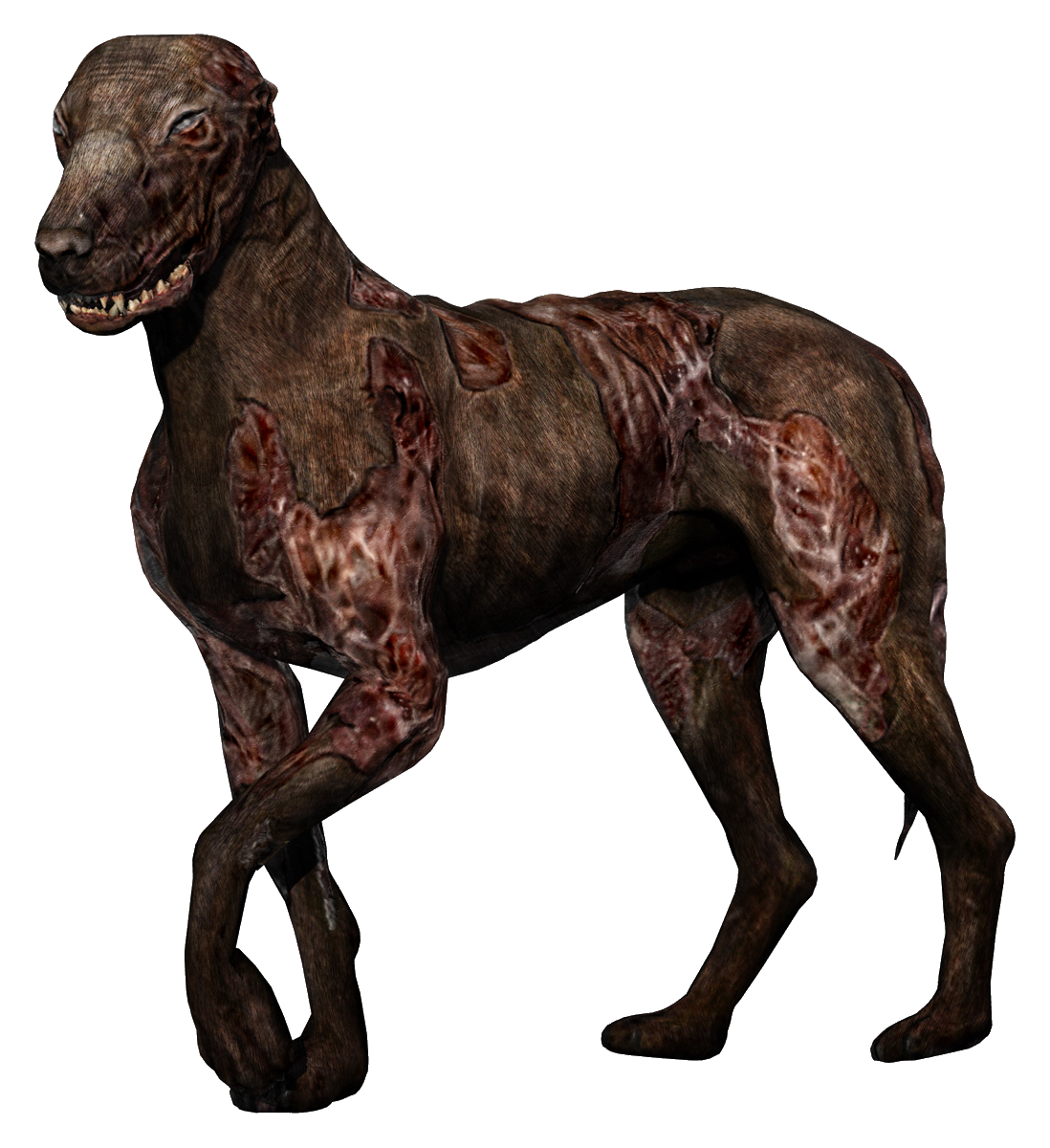 NASIOC - View Single Post - The Worlds' Ugliest Dog! (It ain't GTF)