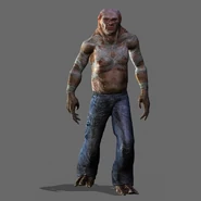 Контролёр--800x524.png (711 КБ) Контролёр обыкновенный