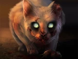 Зомби-кот