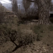 Вор1.gif (3,04 МБ) Аномалия в активном состоянии