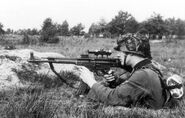 STG-44 с оптическим прицелом в руках