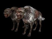 Псед2.jpg (85 КБ) Чёрный и серый псевдопсы