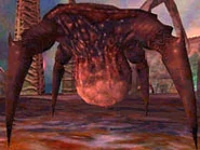 Гонарч вблизи из глаз игрока