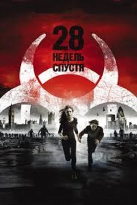 28Н