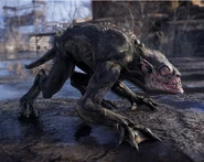 Страж.jpg (135 КБ) Обновлённый страж