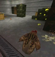 Буллсквид плюется