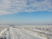 Заснеженная степь