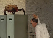 Хед7.jpg (329 КБ) Хедкраб как домашнее животное