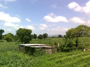 Хи2.jpg (934 КБ) Другая хижина