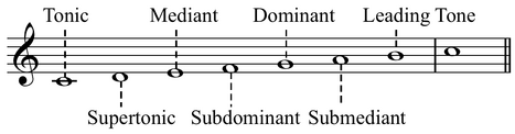 Scale degree names