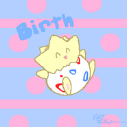 Birth - Misty's Togepi