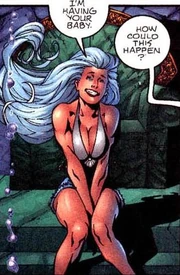 Dolphin-01.jpg (40 KB)