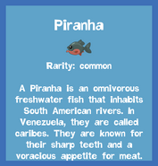 the Piranha