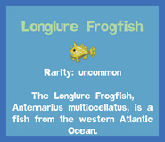 the Longlure Frogfish