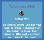 the Tarantula Fish