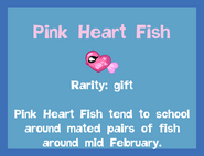 the Pink Heart Fish