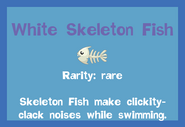 the White Skeleton Fish