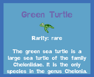 the Green Turtle