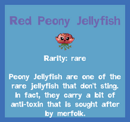Red Peony Jellyfish