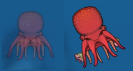 Octopus-
