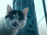 Frodo