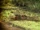 A Quiet Place Part II (2021) deaths image 2.jpg