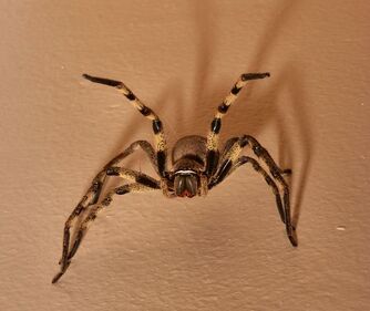 43094118-M.jpg