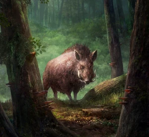 A wild boar - by Key Tang; ©Bethesda Softworks