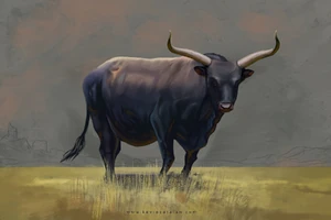 An aurochs - by ©Kevin Catalan