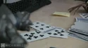 House of Cards