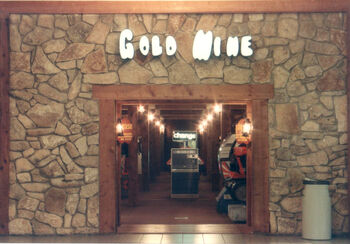 GoldMine 9 front