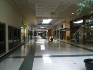 Raleigh Mall 2 years before its demolotion