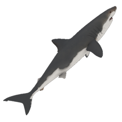 Shark Repellent Potion, Arcane Legacy Wiki