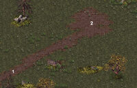 Mi-gyr-dolours.jpg