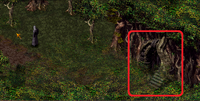 KT-Entrance.png