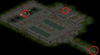 KT-Level1.png