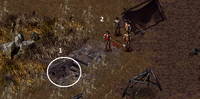 ER-L1.png