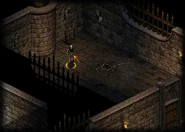 Torian Kel in his skeletal form in the Ancient Temple.