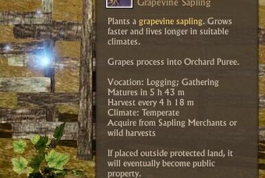 Grapevine ArcheAge Wiki Fandom