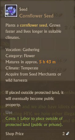 Cornflower Seed Txt.jpg