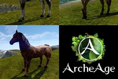 Gray Donkey Foal ArcheAge Wiki