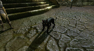 Black Sabrefang ArcheAge Wiki