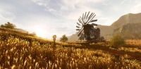 Golden Plains