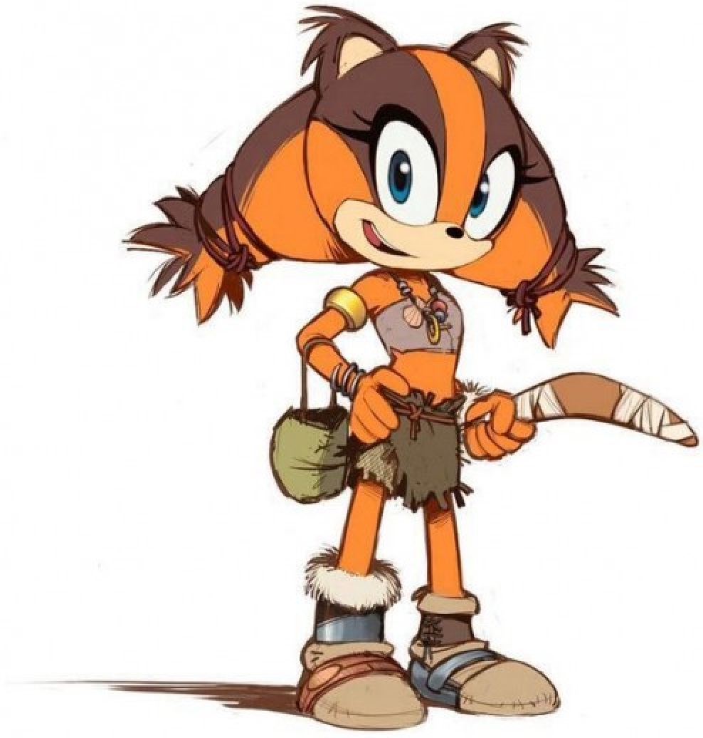 Sticks the Badger, Sonic Wiki Zone